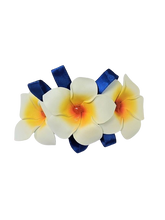 Load image into Gallery viewer, Peinetas
